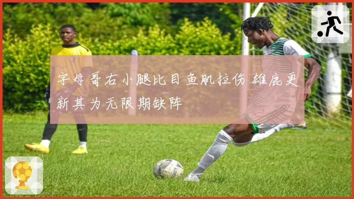 字母哥右小腿比目鱼肌拉伤 雄鹿更新其为无限期缺阵