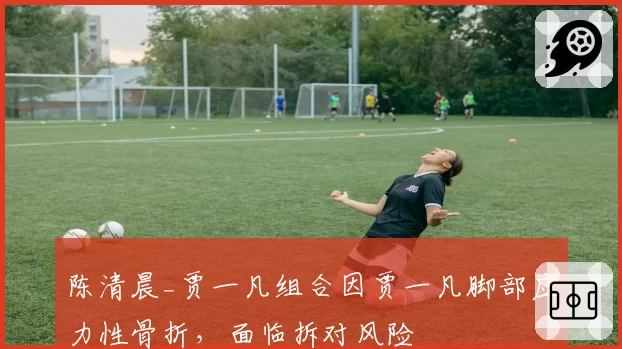 陈清晨_贾一凡组合因贾一凡脚部应力性骨折,面临拆对风险