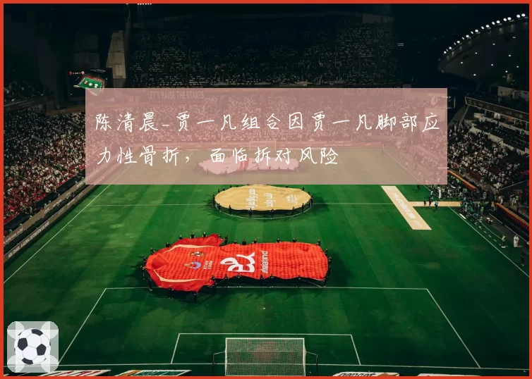 陈清晨_贾一凡组合因贾一凡脚部应力性骨折,面临拆对风险