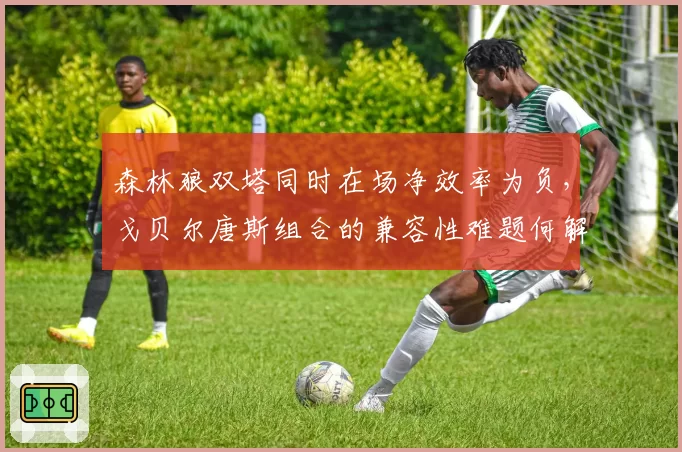 森林狼双塔同时在场净效率为负,戈贝尔唐斯组合的兼容性难题何解?