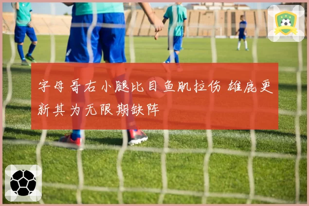 字母哥右小腿比目鱼肌拉伤 雄鹿更新其为无限期缺阵